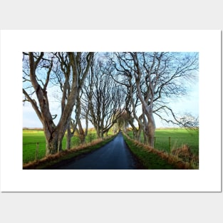 The Dark Hedges, Northern Ireland Posters and Art